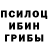 Галлюциногенные грибы Psilocybe TheRadius