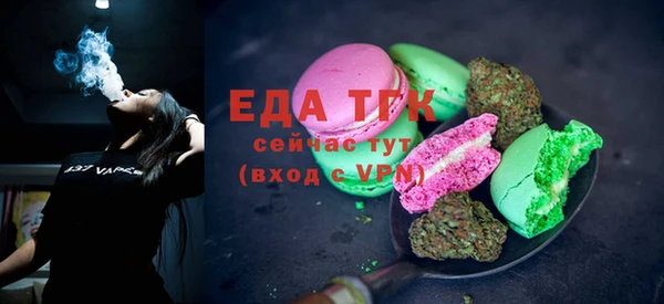 прущие грибы Новозыбков