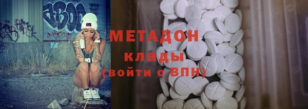 прущие грибы Новозыбков