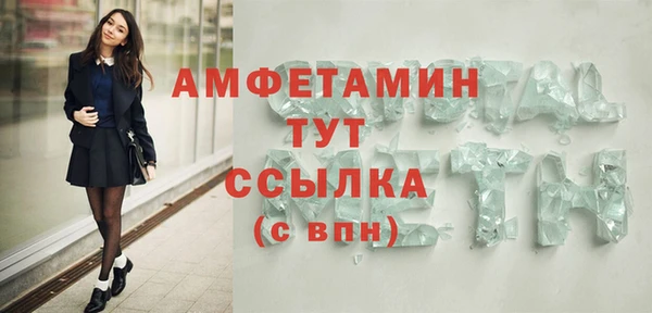 прущие грибы Новозыбков
