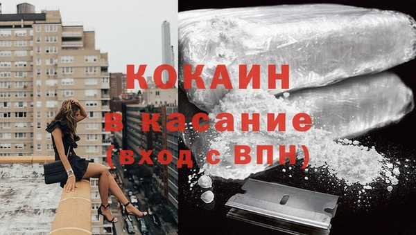 дмт Нея