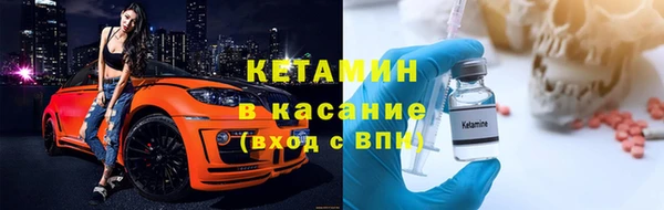 прущие грибы Новозыбков