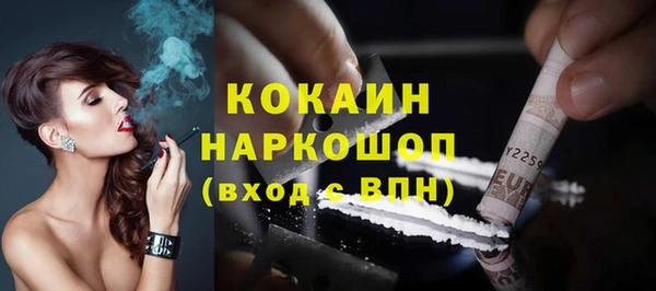 твердый Новодвинск