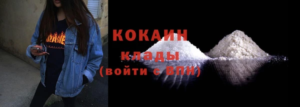 прущие грибы Новозыбков