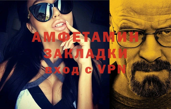 прущие грибы Новозыбков