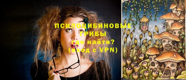 твердый Новодвинск