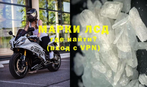 прущие грибы Новозыбков
