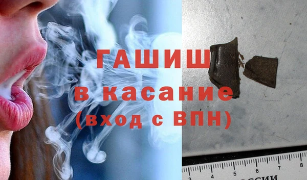 прущие грибы Новозыбков