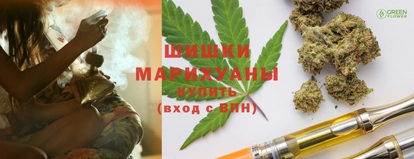 твердый Новодвинск