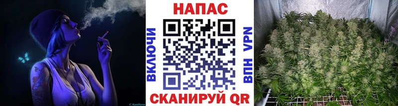 Бошки марихуана планчик Пугачёв